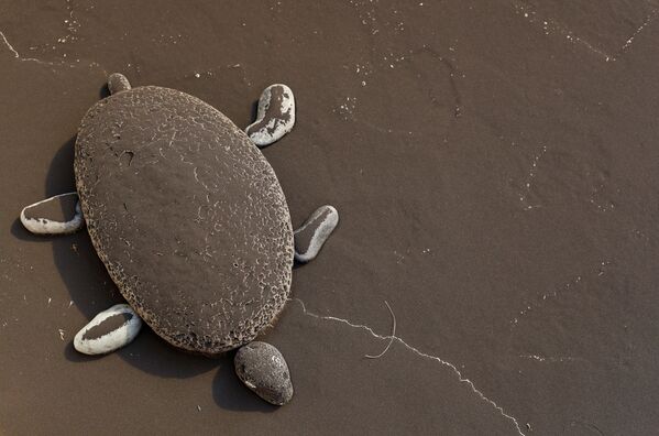Hình con rùa làm bằng đá dưới lớp tro bụi do núi lửa phun trào trên đảo Palma - Sputnik Việt Nam