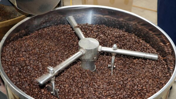 Trong ảnh: Chế biến cà phê đạt tiêu chuẩn OCOP 5 sao tại Hợp tác xã cà phê Bích Thao (Sơn La). Ảnh: TTXVN - Sputnik Việt Nam