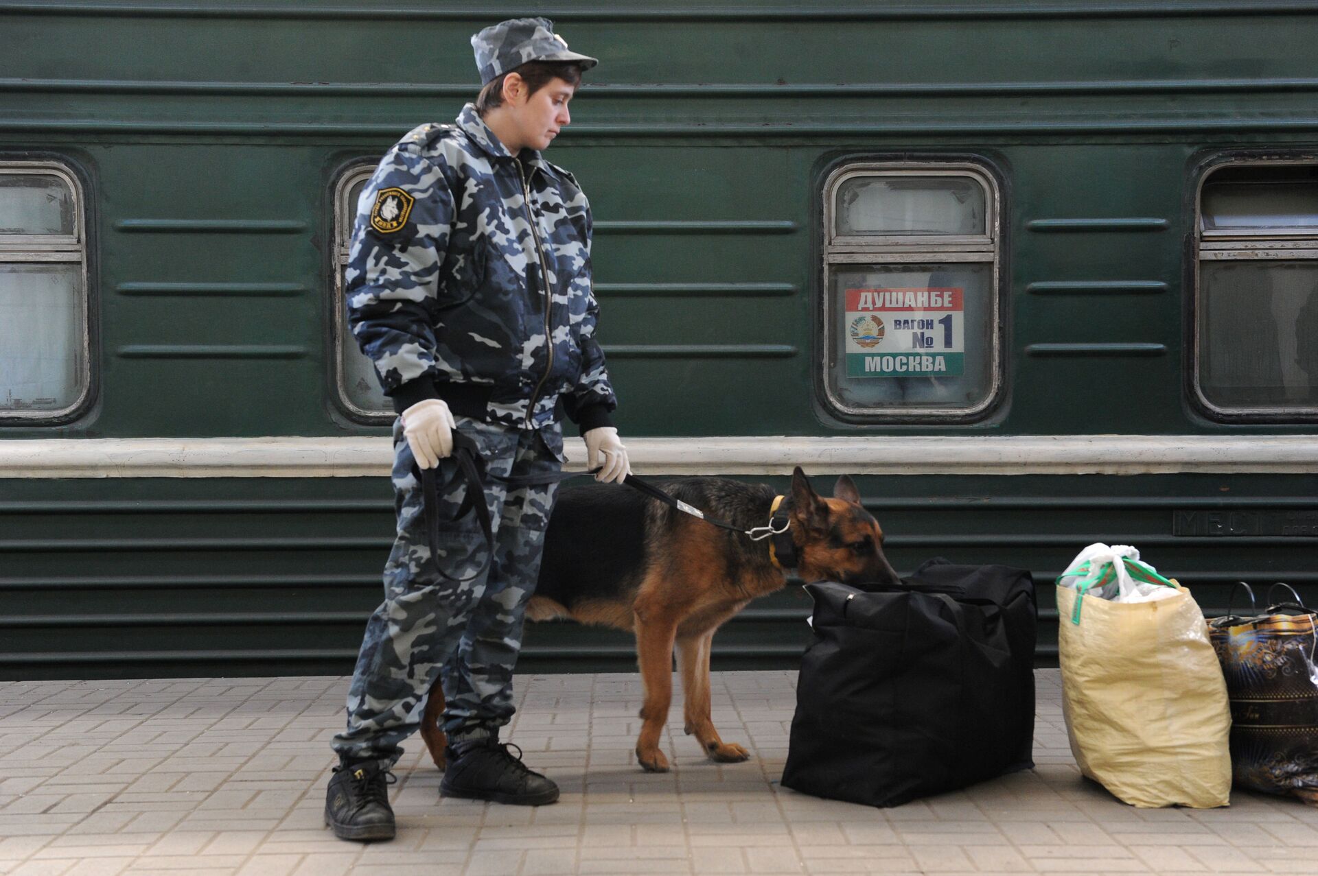 Một nhân viên an ninh với một con chó ở toa tàu chở khách Moscow-Dushanbe - Sputnik Việt Nam, 1920, 01.11.2021