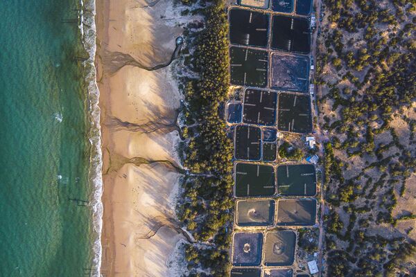 Ảnh «Ô nhiễm môi trường biển do nuôi trồng thuỷ sản»» (2020) của Nguyễn Duy Sinh, lọt vào vòng chung kết của cuộc thi The Environmental Photographer of the Year 2021 - Sputnik Việt Nam