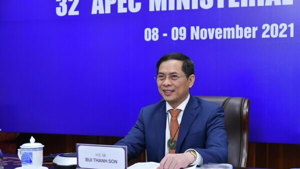 Bộ trưởng Ngoại giao Bùi Thanh Sơn dự trực tuyến Hội nghị liên Bộ trưởng Ngoại giao - Kinh tế APEC lần thứ 32 - Sputnik Việt Nam