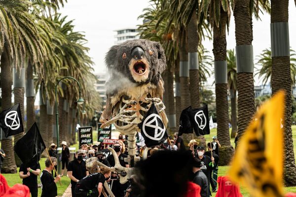 Các nhà hoạt động của Extinction Rebellion tổ chức «tang lễ» cho con búp bê koala, Australia - Sputnik Việt Nam