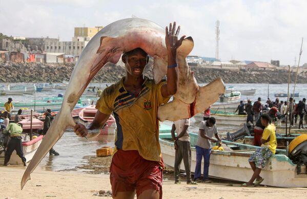Cư dân Somali với con cá trên bãi biển Orobo ở Mogadishu - Sputnik Việt Nam