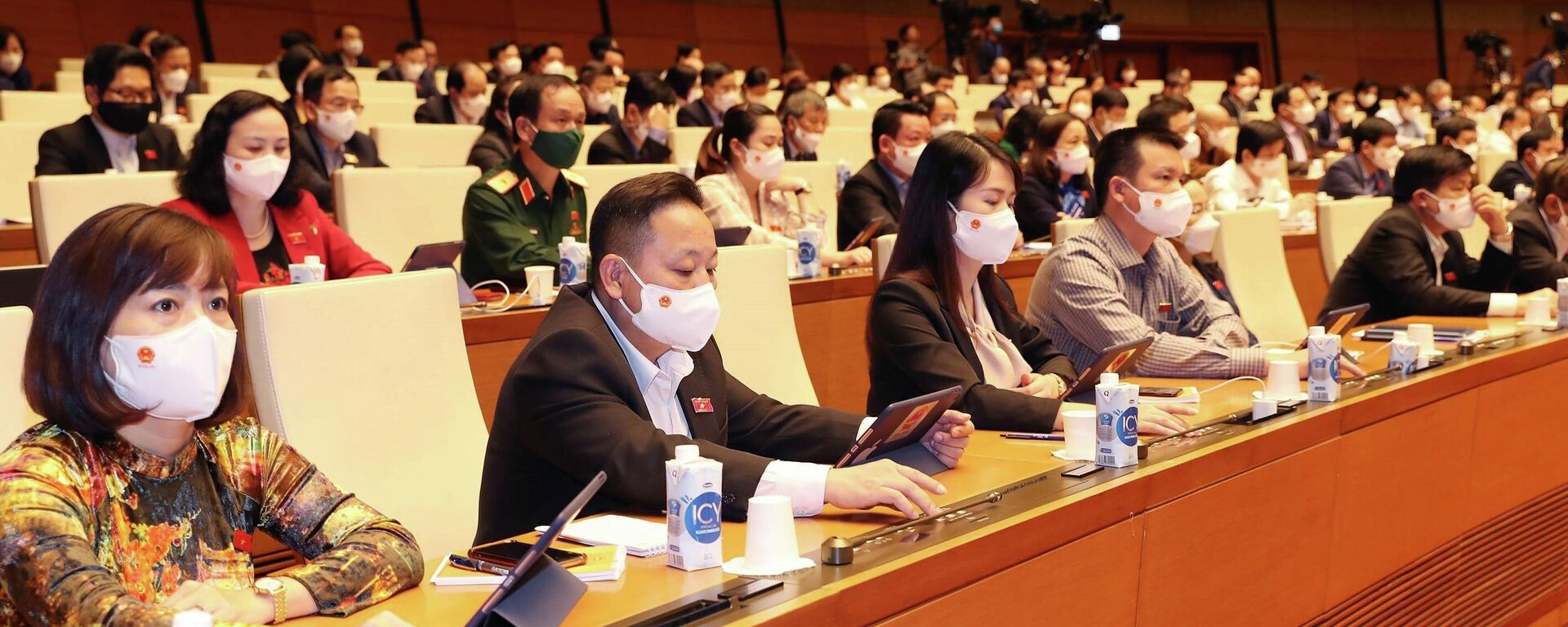 Các đại biểu Quốc hội biểu quyết thông qua Nghị quyết về Kế hoạch cơ cấu lại nền kinh tế giai đoạn 2021-2025 - Sputnik Việt Nam, 1920, 12.11.2021