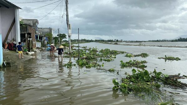 Nước lũ tràn về ở một nhánh sông Kôn gây chia cắt giao thông nhiều thôn xóm thuộc xã Phước Thắng (huyện Tuy Phước). - Sputnik Việt Nam