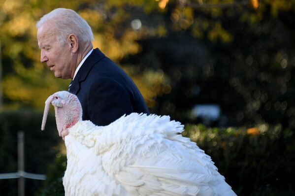 Tổng thống Hoa Kỳ Joe Biden xá tội gà tây trong Lễ tạ ơn ở Washington DC, Hoa Kỳ - Sputnik Việt Nam