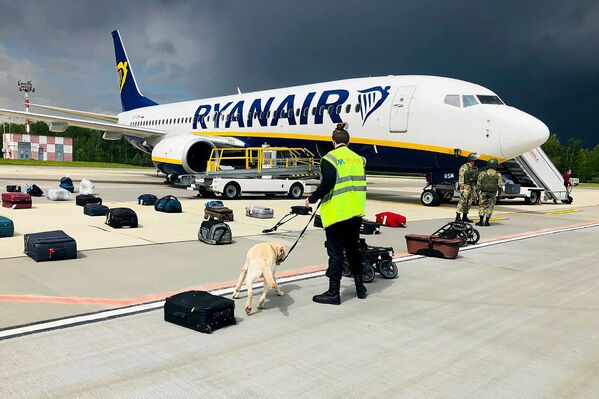 Nhân viên huấn luyện chó kiểm tra hành lý trên chiếc Ryanair Boeing 737-8AS tại Sân bay Quốc tế Minsk - Sputnik Việt Nam