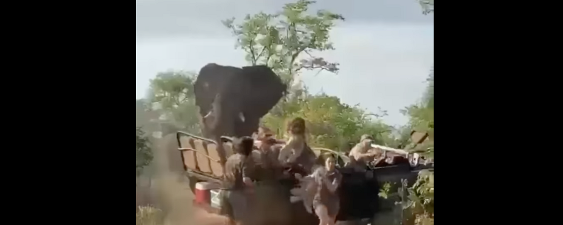 Video quay cảnh con voi phát điên suýt lật đổ xe jeep chở người được tung lên mạng - Sputnik Việt Nam, 1920, 03.12.2021