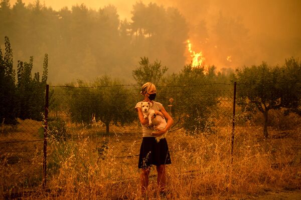 Cô gái với con chó trongtrận cháy rừng ở Hy Lạp - Sputnik Việt Nam
