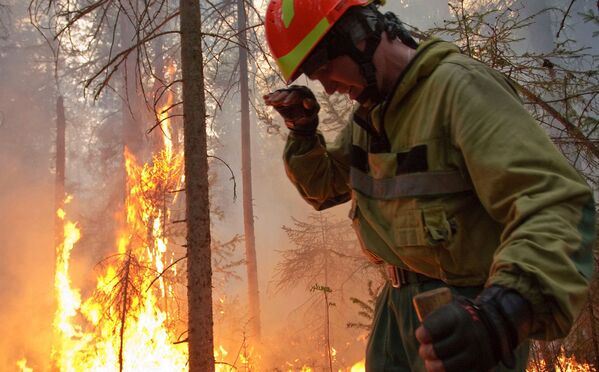 Nhân viên Lực lượng hàng không bảo vệ rừng dập lửa cháy rừng ở Yakutia, Nga - Sputnik Việt Nam