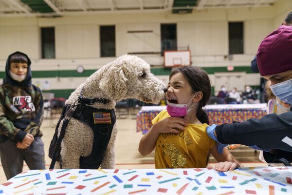 Bé gái và chú chó-«chuyên gia hỗ trợ trị liệu» trong lúc tiêm chủng vaccine tại trường phổ thông ở Potacket, Hoa Kỳ - Sputnik Việt Nam