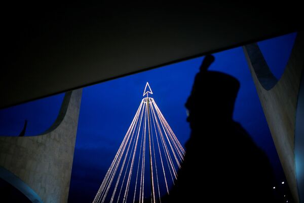 Cây thông Noel khác thường tại Cung điện Planalto ở Brasilia, Brazil - Sputnik Việt Nam