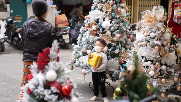 Một người bà ghi lại khoảnh khắc của cháu trai mình cùng Cây thông Noel trên phố Hàng Mã - Sputnik Việt Nam