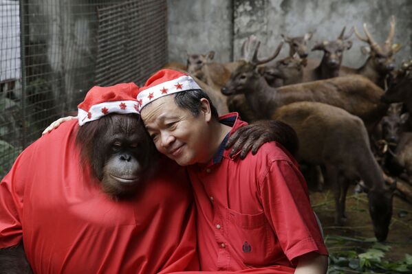 Đười ươi Pacquiao và chủ sở thú Manny Tangco trong trang phục ông già Noel ôm nhau, Philippines - Sputnik Việt Nam