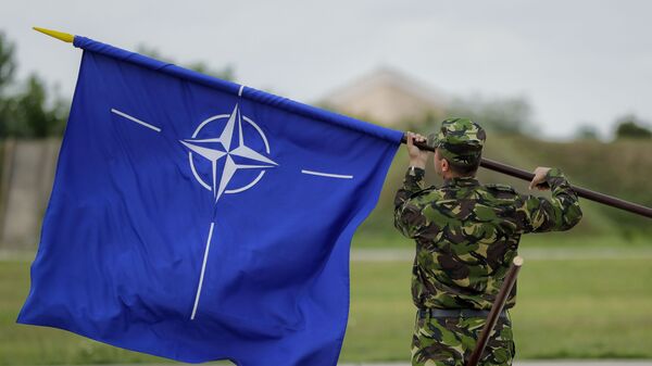 Người lính với cờ NATO - Sputnik Việt Nam