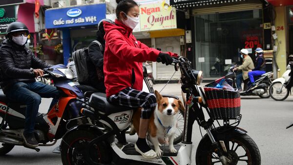Người phụ nữ  với con chó của cô ấy - Sputnik Việt Nam