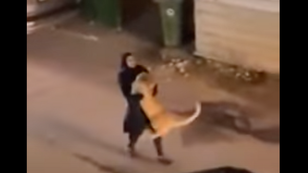 Ở Kuwait, cô bé bế trên tay con sư tử giận dữ - Sputnik Việt Nam