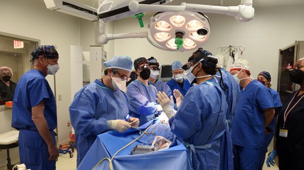 Ca phẫu thuật ghép tim lợn cho người của các bác sĩ phẫu thuật tại Trung tâm Y tế Đại học Maryland - Sputnik Việt Nam