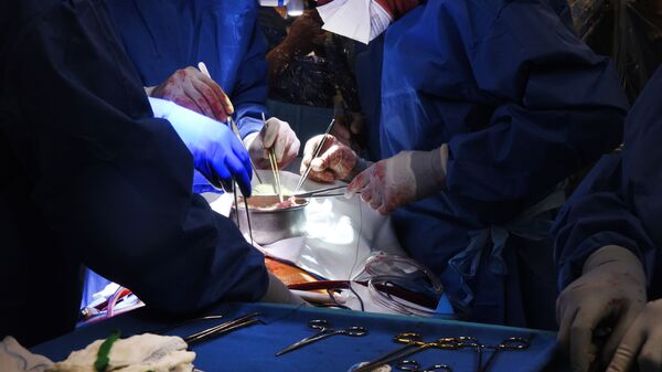 Ca phẫu thuật ghép tim lợn cho người của các bác sĩ phẫu thuật tại Trung tâm Y tế Đại học Maryland - Sputnik Việt Nam