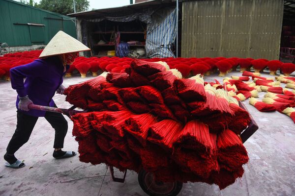 Công nhân đẩy xe chở hương đã phơi khô trước lễ đón giao thừa ở Việt Nam - Sputnik Việt Nam