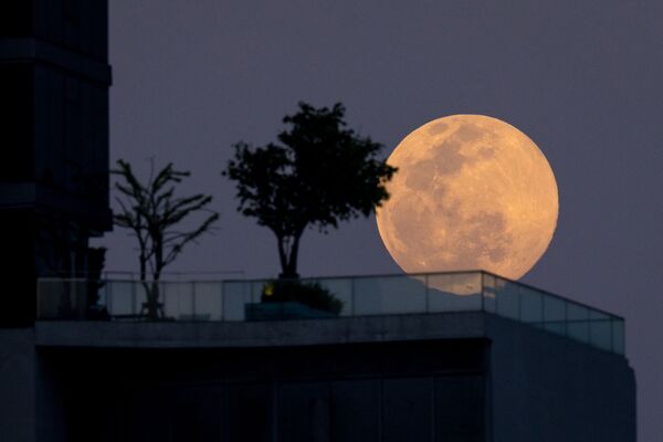 Tòa nhà cao tầng trong kỳ trăng tròn ở Bangkok - Sputnik Việt Nam