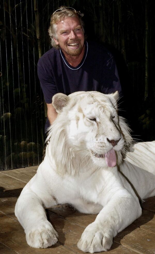 Tài phiệt người Anh Richard Branson bên một con hổ Bengal trắng ở Australia. Branson năm nay tròn 72 tuổi - Sputnik Việt Nam