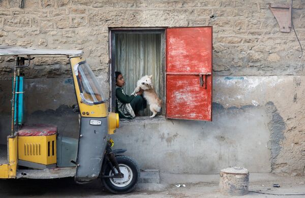 Cô bé chơi với con chó của mình khi ngồi trên bậu cửa sổ ngôi nhà ở Karachi, Pakistan - Sputnik Việt Nam