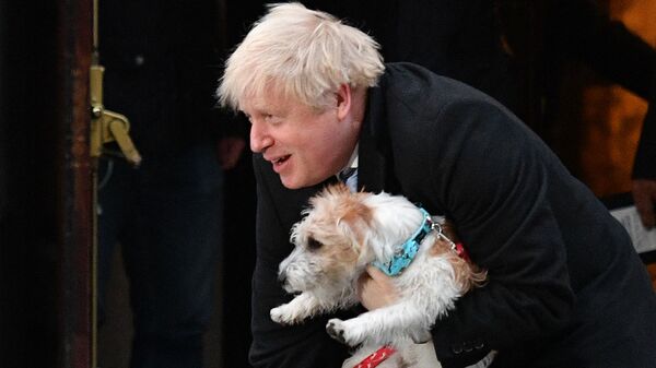Thủ tướng Anh Boris Johnson với chú chó Deelin ở London - Sputnik Việt Nam