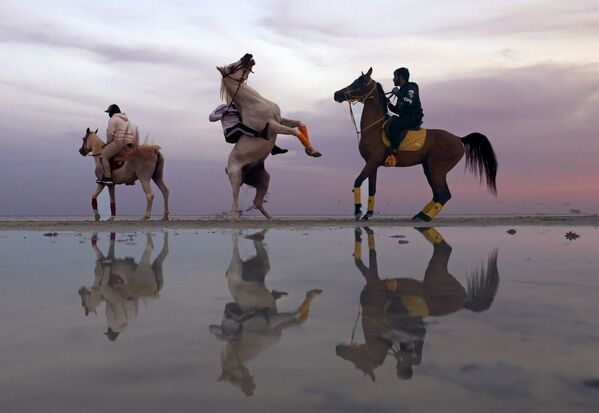 Người Ả rập trên lưng ngựa trong hoàng hôn ở Abu Dhabi - Sputnik Việt Nam