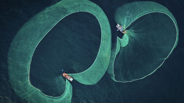 Bức ảnh Mùa đánh bắt cá cơm của nhiếp ảnh gia Việt Nam Nguyễn Ngọc Thiện đoạt giải nhất hạng mục Bảo tồn biển, cuộc thi The Underwater Photographer of the Year 2022   - Sputnik Việt Nam