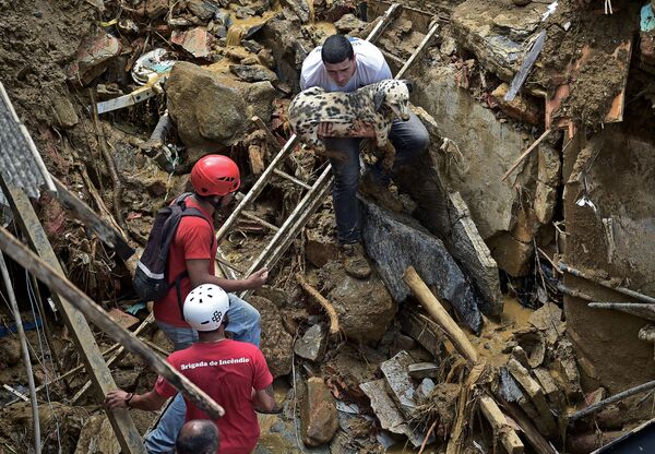 Người dân cứu chú chó sau trận lở đất ở Petropolis, Brazil - Sputnik Việt Nam