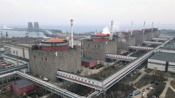 Nhà máy điện hạt nhân Zaporozhye, nằm trong vùng thảo nguyên bên bờ hồ chứa Kakhovka ở thành phố Energodar - Sputnik Việt Nam