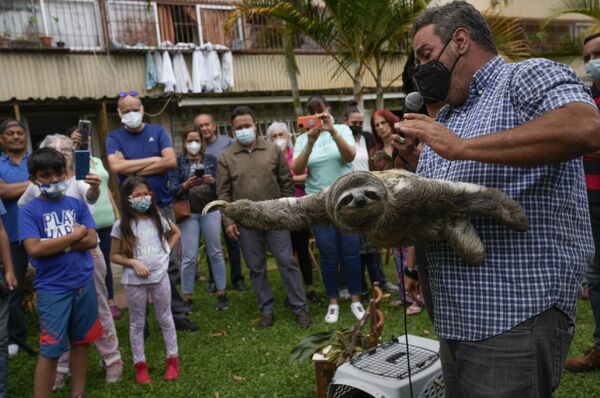 Juan Carlos Rodriguez với con lười Chewie ở San Antonio, Venezuela - Sputnik Việt Nam