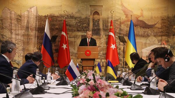 Tổng thống Thổ Nhĩ Kỳ Recep Tayyip Erdogan phát biểu trong cuộc hội đàm Nga-Ukraina tại Cung điện Dolmabahce ở Istanbul. - Sputnik Việt Nam