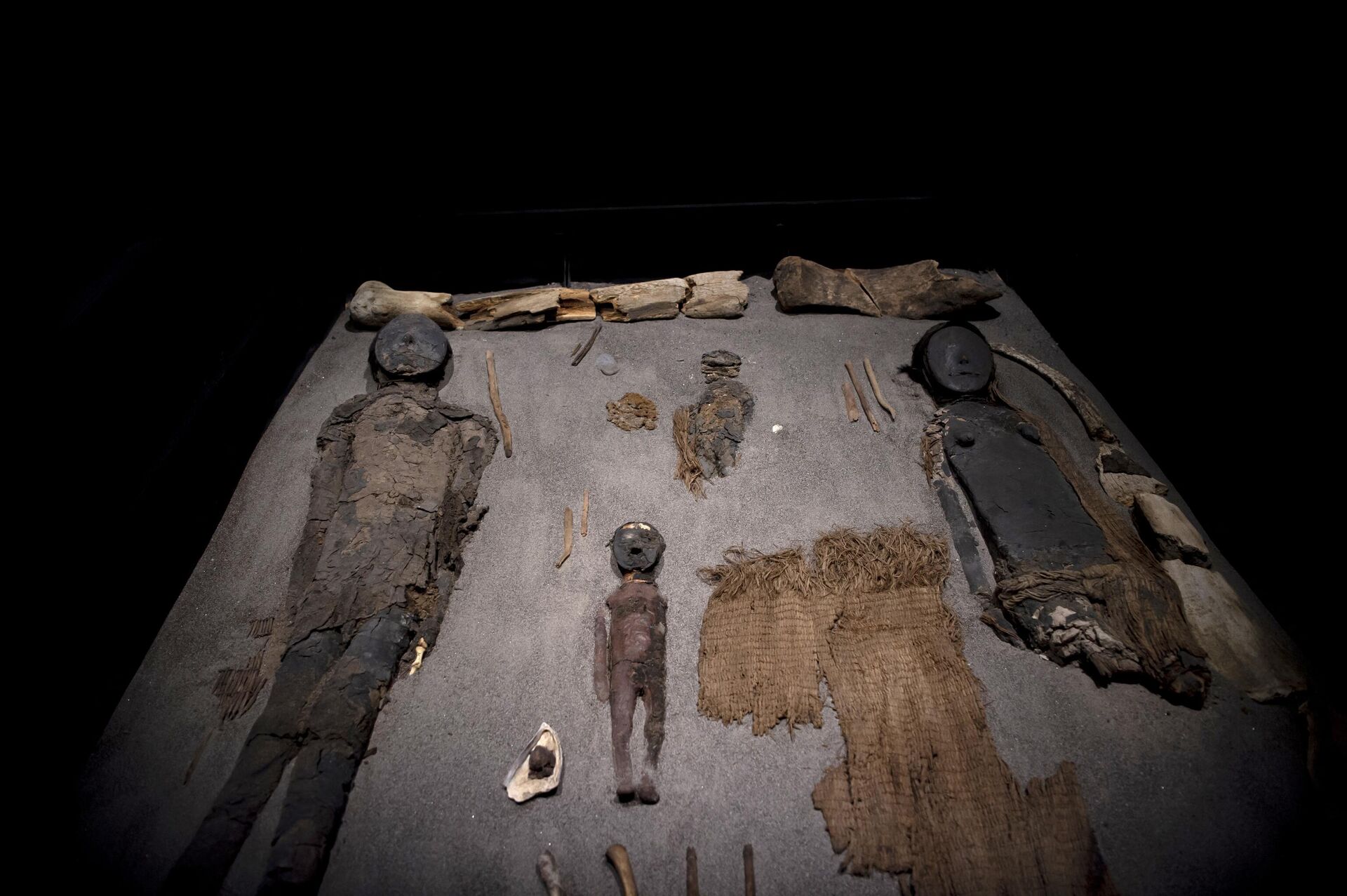 Xác ướp từ nền văn hóa Chinchorro cổ đại tại Bảo tàng Camarones ở Chile - Sputnik Việt Nam, 1920, 30.03.2022