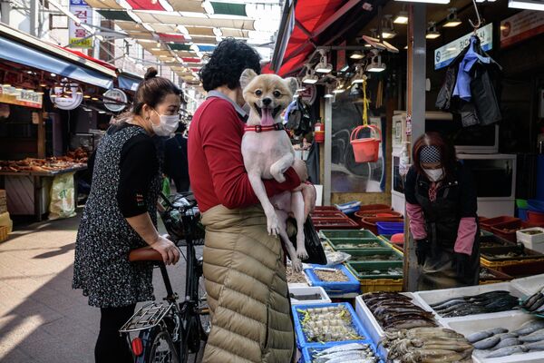 Người phụ nữ và con chó tại quầy hải sản ở chợ đường phố ở Seoul, Hàn Quốc - Sputnik Việt Nam