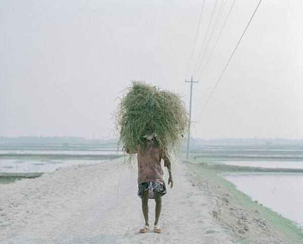 Bức ảnh trong loạt ảnh “Cuộc sống trong thời kỳ chuyển đổi” của nhiếp ảnh gia Nhật Bản Shunta Kimura, giành giải trong hạng mục Nhiếp ảnh gia / Môi trường chuyên nghiệp , cuộc thi Sony World Photography Awards 2022 - Sputnik Việt Nam