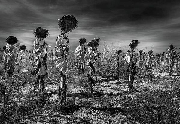 Ảnh “Kết thúc” của nhiếp ảnh gia Tây Ban Nha Vincente Ansole, người chiến thắng hạng mục Phong cảnh ngoài trời, cuộc thi Sony World Photography Awards 2022 - Sputnik Việt Nam