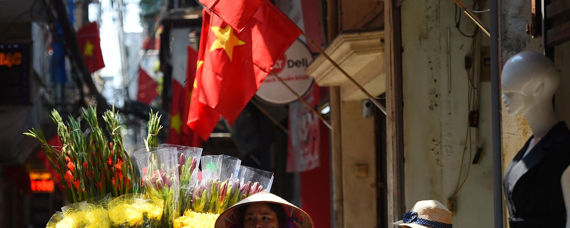 Уличная торговка проходит по аллее, украшенной вьетнамскими национальными флагами, в преддверии празднования Национального дня Вьетнама в Ханое - Sputnik Việt Nam, 1920, 02.05.2022