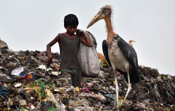 Cậu bé phân loại rác bên cạnh cò Marabou châu Phi trong bãi rác lớn, Ấn Độ - Sputnik Việt Nam