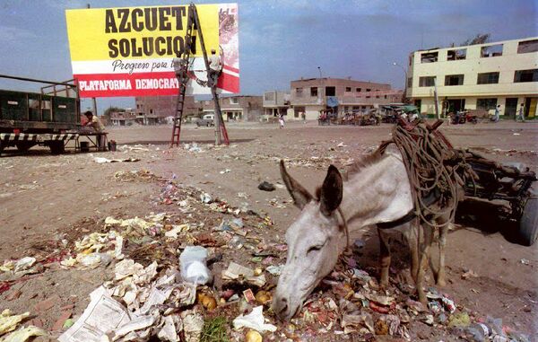 Con lừa kiếm ăn từ  bãi rác ở ngoại ô Lima, Peru - Sputnik Việt Nam