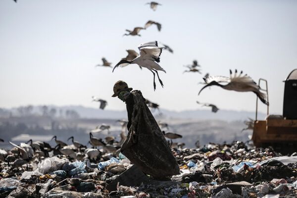 Người thu gom rác đi qua bãi rác Robinson Deep , Johannesburg - Sputnik Việt Nam