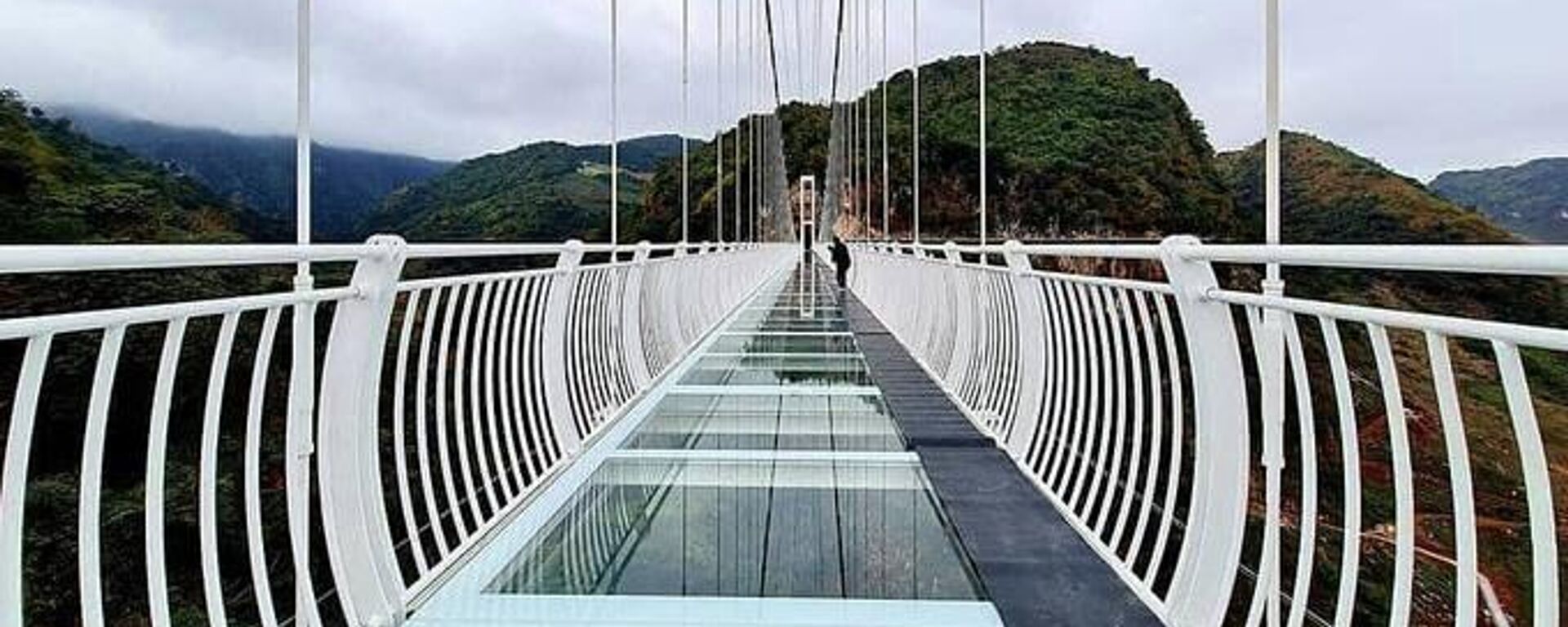 Cầu Bạch Long - Sputnik Việt Nam, 1920, 21.04.2022
