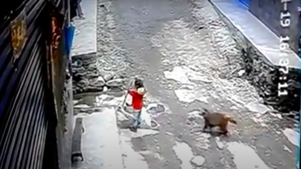 Người đàn ông cứu một bé gái ba tuổi khỏi một con khỉ hung hãn - Sputnik Việt Nam