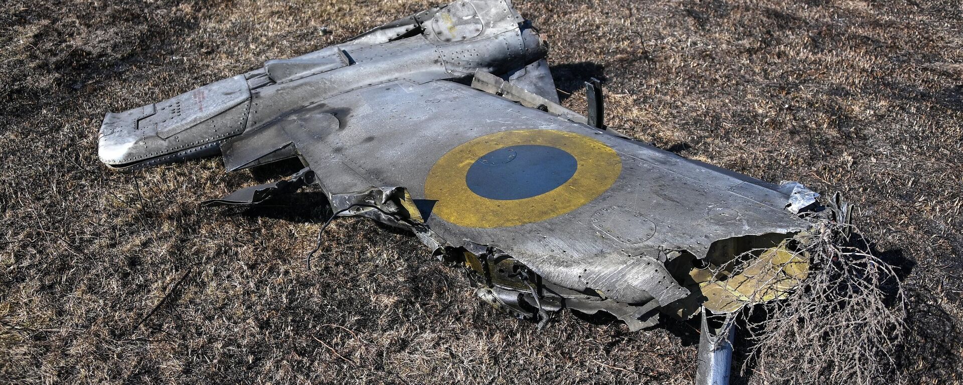 Máy bay cường kích Su-25 của Ukraina bị bắn rơi ở vùng Kherson - Sputnik Việt Nam, 1920, 11.05.2022