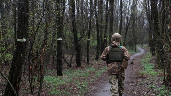 Một binh sĩ Ukraina ở gần làng New York - Sputnik Việt Nam