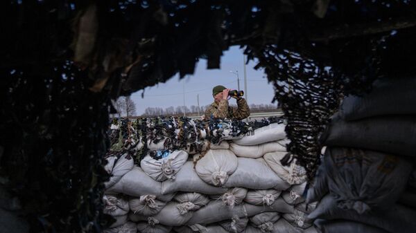Một người lính Ukraina quan sát ống nhòm tại trạm kiểm soát ở Litin - Sputnik Việt Nam