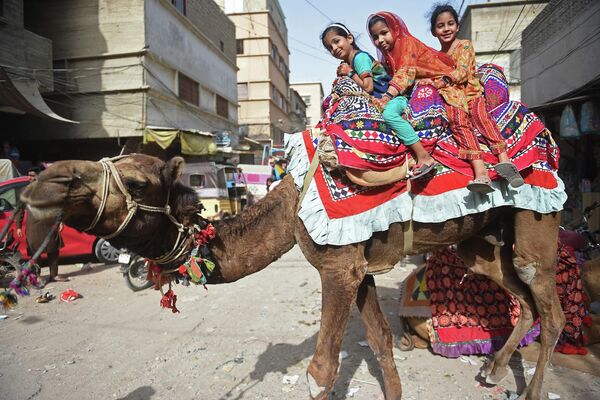 Các cô bé cưỡi lạc đà trong lễ hội Eid al-Fitr đánh dấu kết thúc tháng Chay Ramadan, ở Karachi, Pakistan - Sputnik Việt Nam