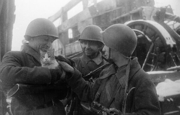 «Ký ức hoà bình». Stalingrad, 1943 - Sputnik Việt Nam