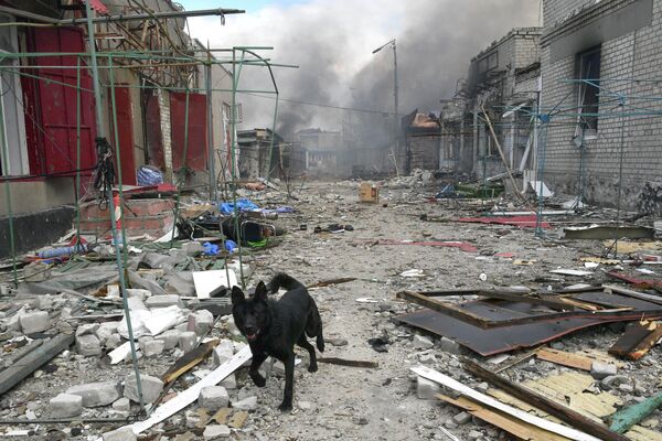 Chợ bị phá hủy ở thị trấn Popasna - Sputnik Việt Nam
